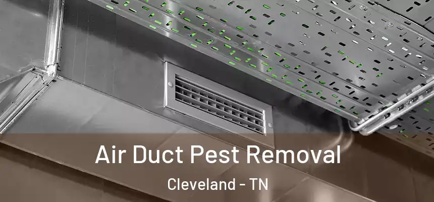  Air Duct Pest Removal Cleveland - TN