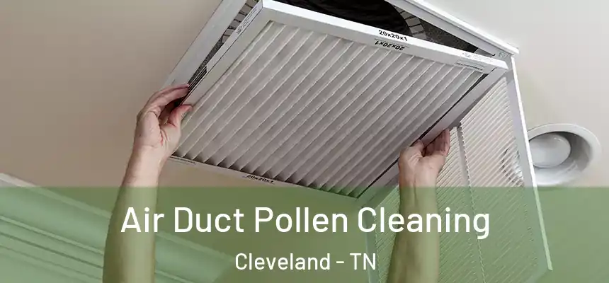  Air Duct Pollen Cleaning Cleveland - TN
