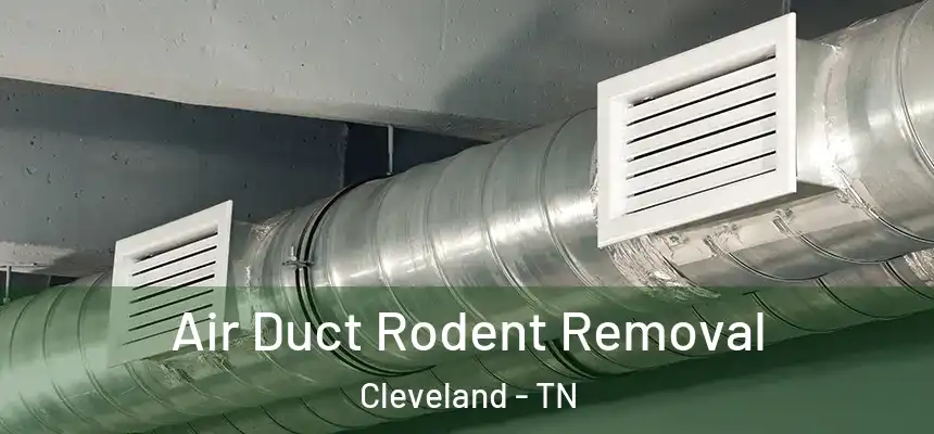  Air Duct Rodent Removal Cleveland - TN