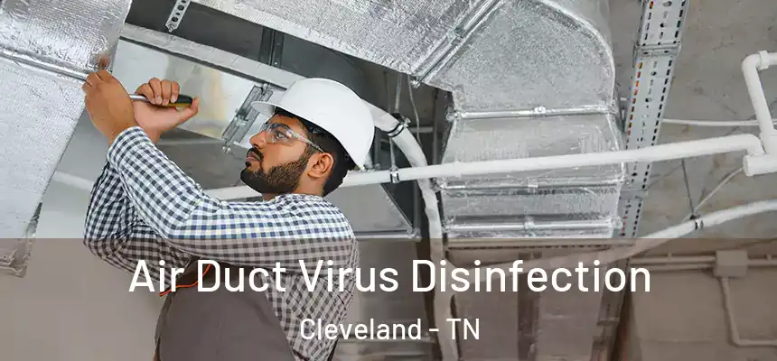  Air Duct Virus Disinfection Cleveland - TN
