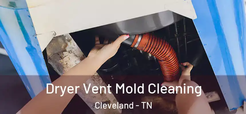  Dryer Vent Mold Cleaning Cleveland - TN