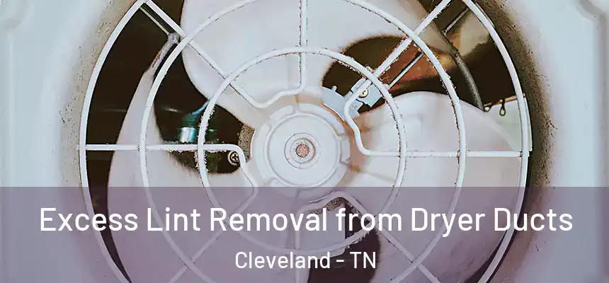  Excess Lint Removal from Dryer Ducts Cleveland - TN
