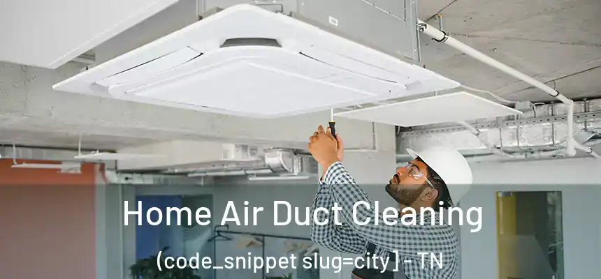  Home Air Duct Cleaning (code_snippet slug=city] - TN