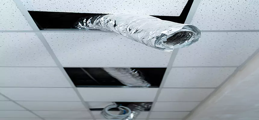 Our Air Duct Pet Hair Removal Services in Cleveland, TN