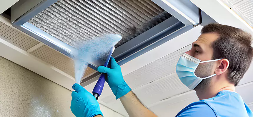 Proactive Dryer Vent & Auxiliary Duct Pollen Cleanup in Cleveland, TN