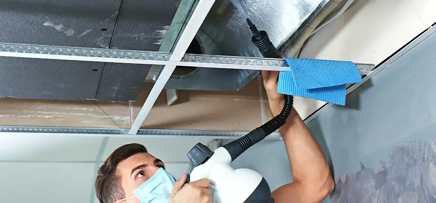 Our Air Duct Rodent Removal Services in Cleveland, TN