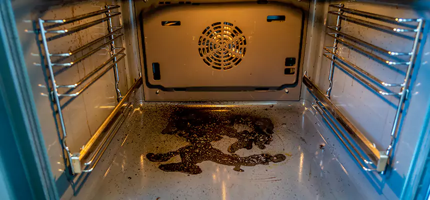 Our Dryer Vent Mold Cleaning Services in Cleveland, TN