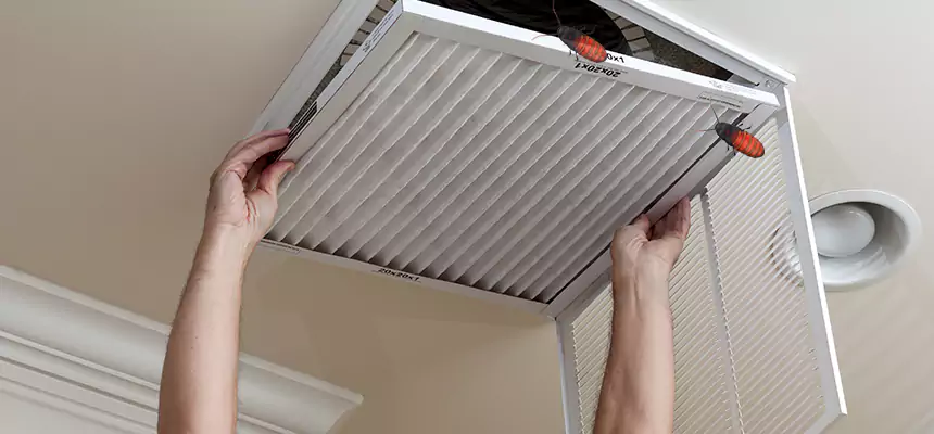 Our Insect Removal from Air Ducts Services in Cleveland, TN