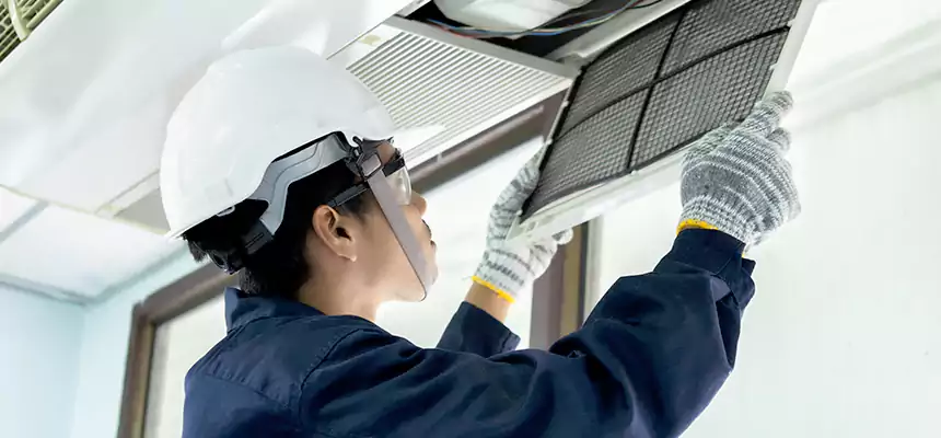 Our Mold & Mildew Removal from Air Ducts Services in Cleveland, TN