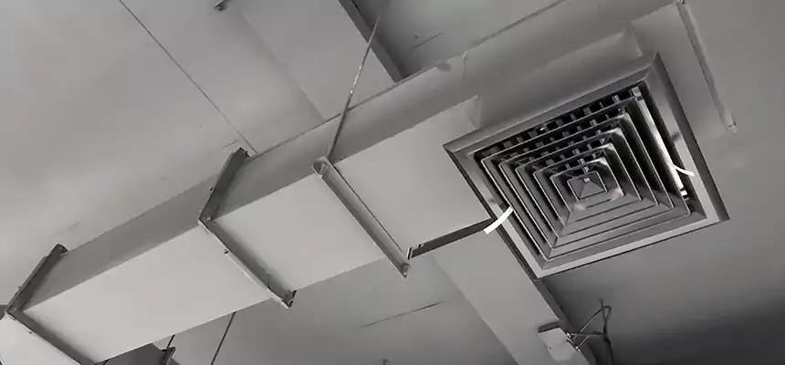 Our Rodent Droppings In Vents Services in Cleveland, TN