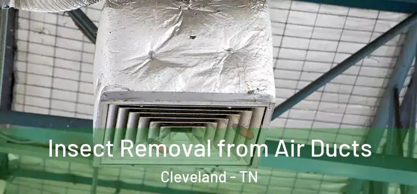  Insect Removal from Air Ducts Cleveland - TN