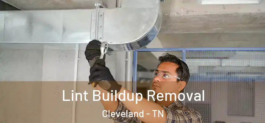  Lint Buildup Removal Cleveland - TN