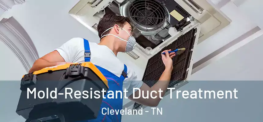  Mold-Resistant Duct Treatment Cleveland - TN