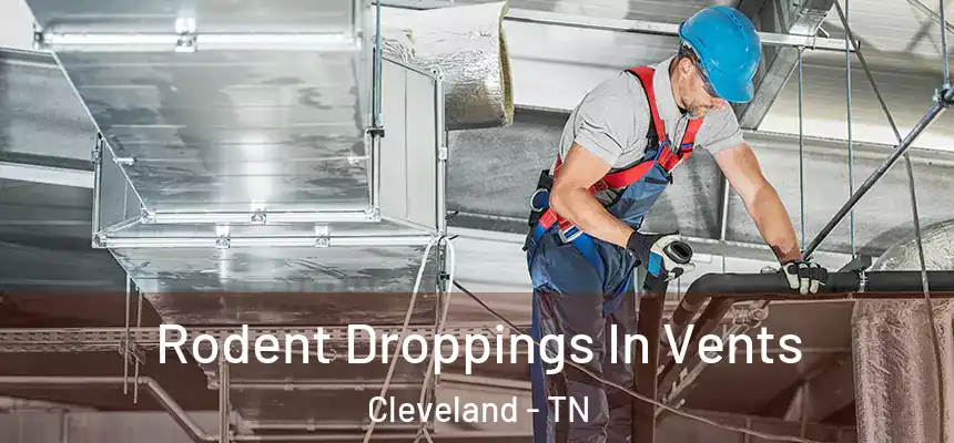  Rodent Droppings In Vents Cleveland - TN