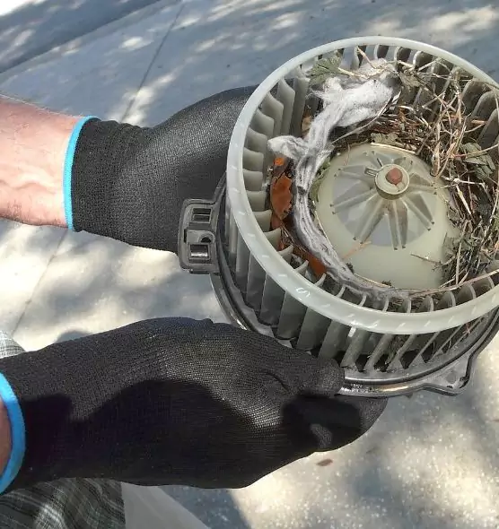 About Air Duct Mice Removal in Cleveland, TN