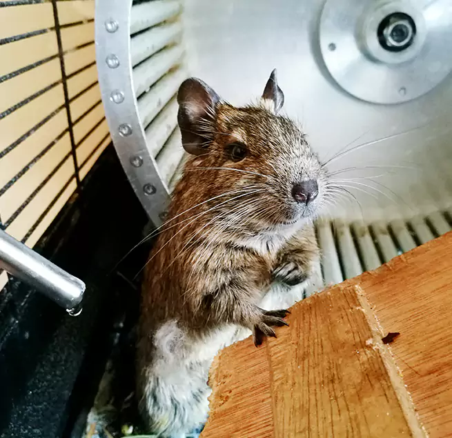 Why Homeowners & Businesses Trust Us Cleveland, TN