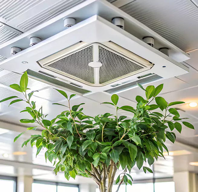 Why Homeowners & Businesses Trust Us in Cleveland, TN?